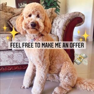 ✨Feel free to make me an offer✨